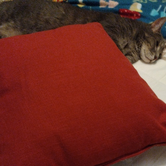 Artisan Red and Black Decorative Pillow - Picture 9 of 9